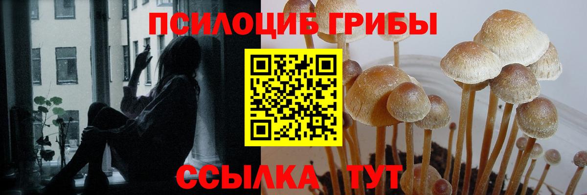 Псилоцибиновые грибы мухоморы Куйбышев