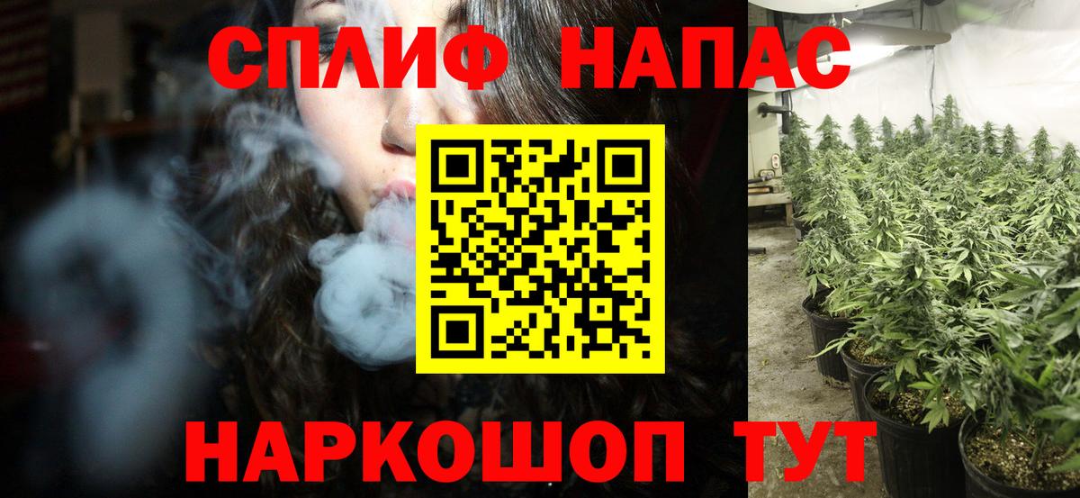 Бошки Шишки тримм Куйбышев